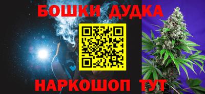 гидра Ставрополь