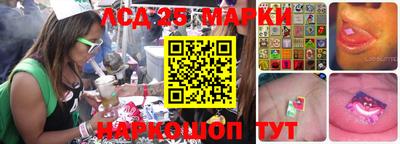 гидра Ставрополь