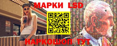 гидра Ставрополь