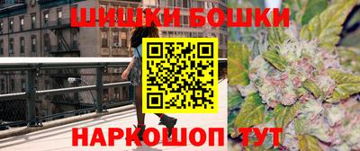 гидра Ставрополь