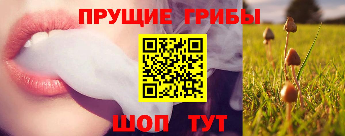 Артём  где можно купить   Вход с VPN  Галлюциногенные грибы MAGIC MUSHROOMS 